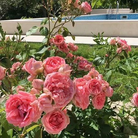 Βίλα Amare